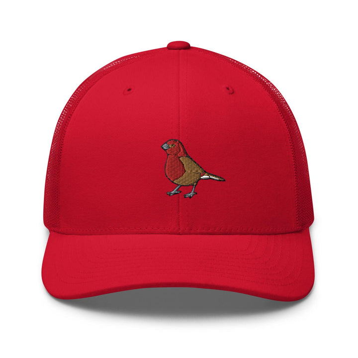 a red hat with a bird embroidered on it