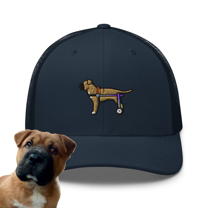 a brown dog wearing a blue hat next to a picture of a brown dog