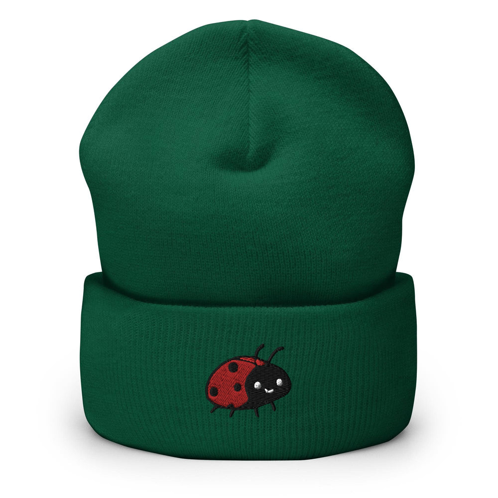 a green beanie with a red ladybug on it