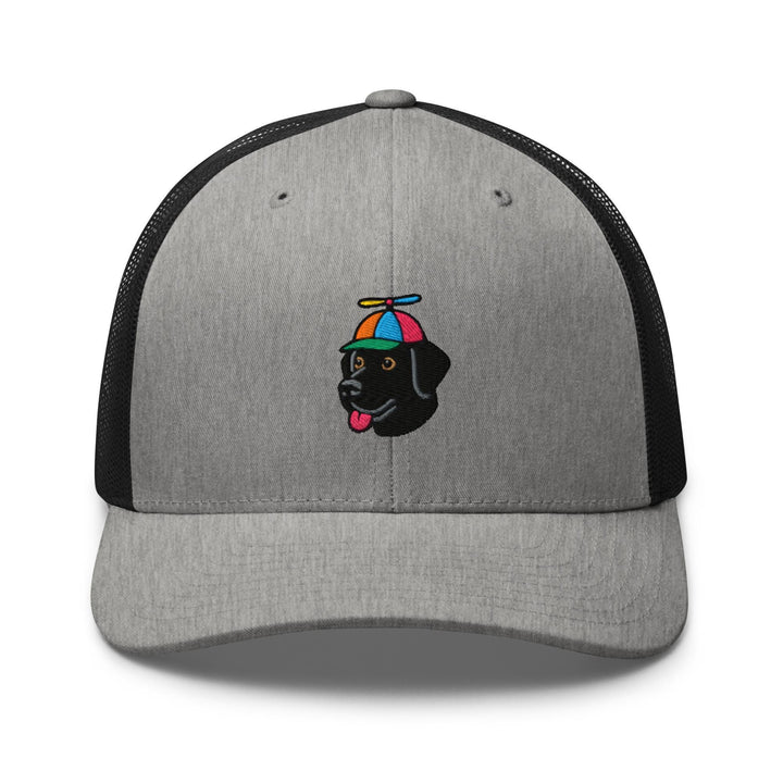 a gray hat with a black dog wearing an umbrella