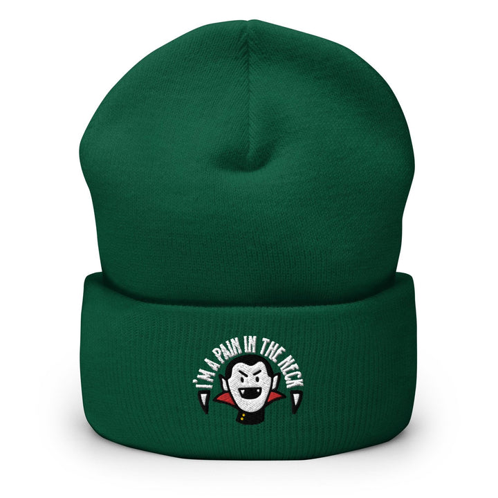 a green beanie hat with a cartoon character on it