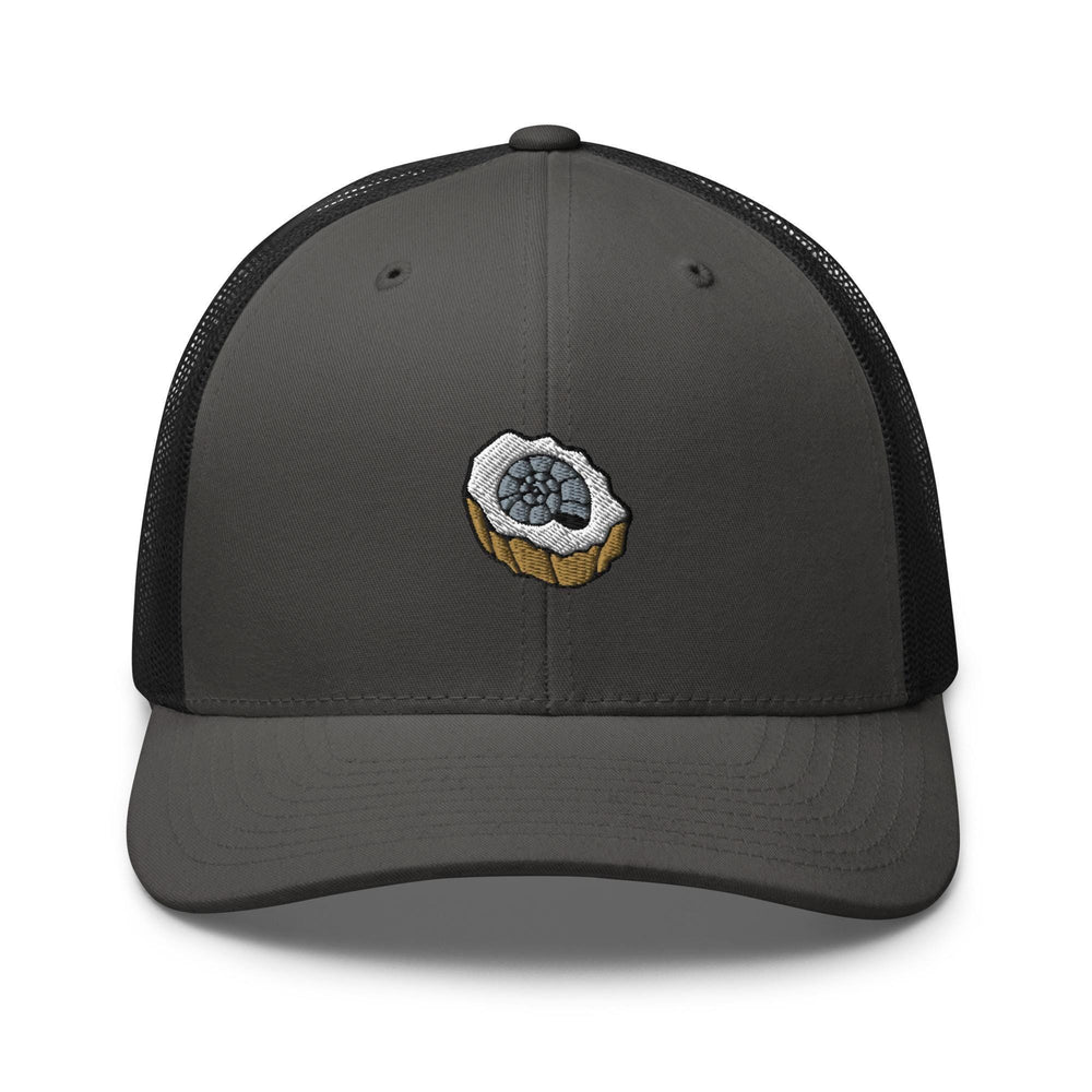a gray and black hat with a blueberry on it