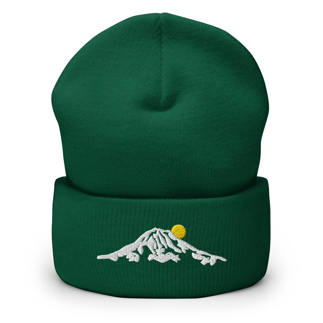 a green beanie with a white mountain and a yellow ball on it