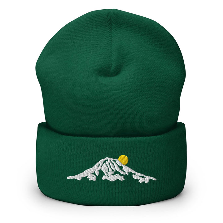 a green beanie with a white mountain and a yellow ball on it