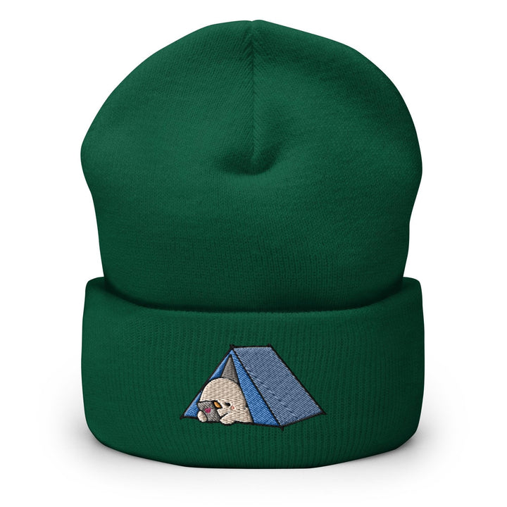 a green beanie with a blue tent on it
