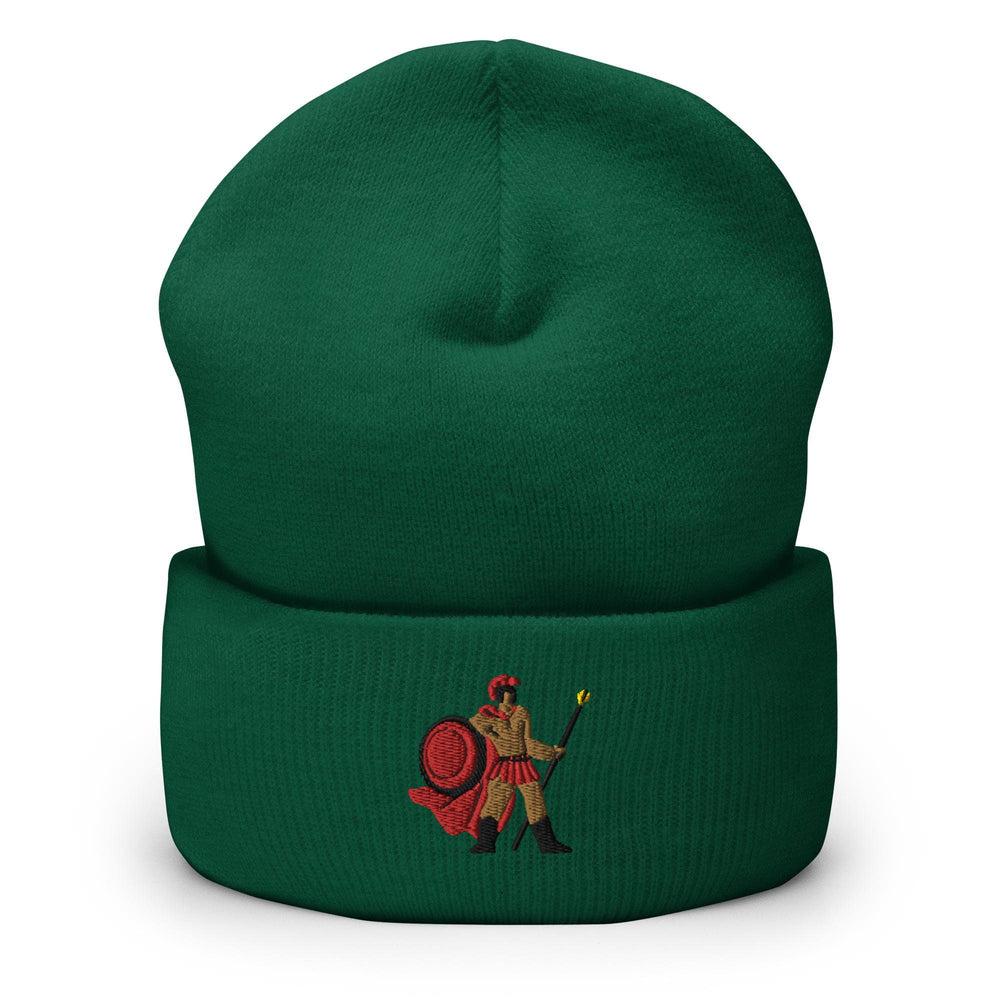 a green beanie with a picture of a man holding a sword