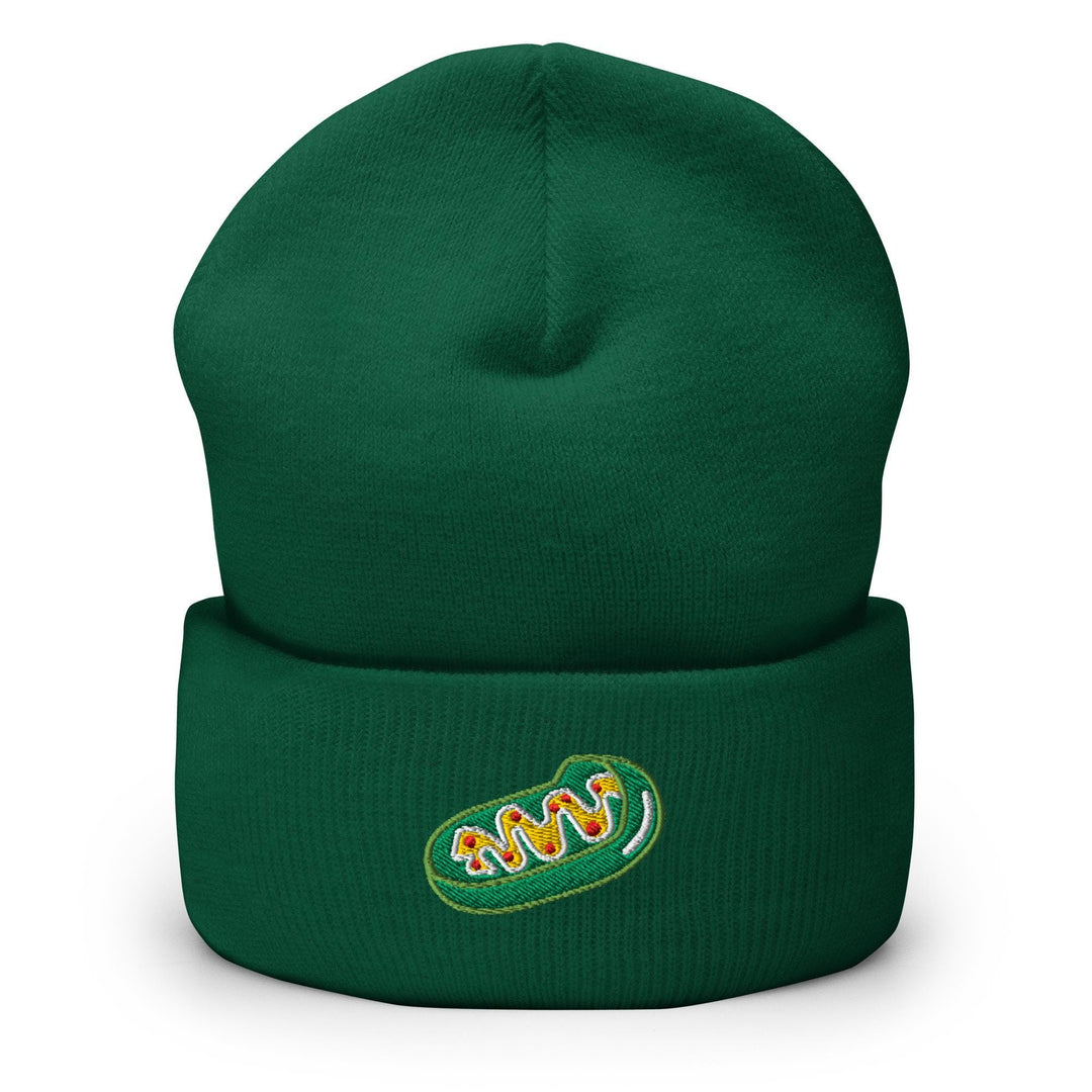 a green beanie hat with a logo on it