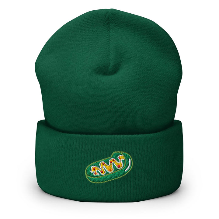 a green beanie hat with a logo on it