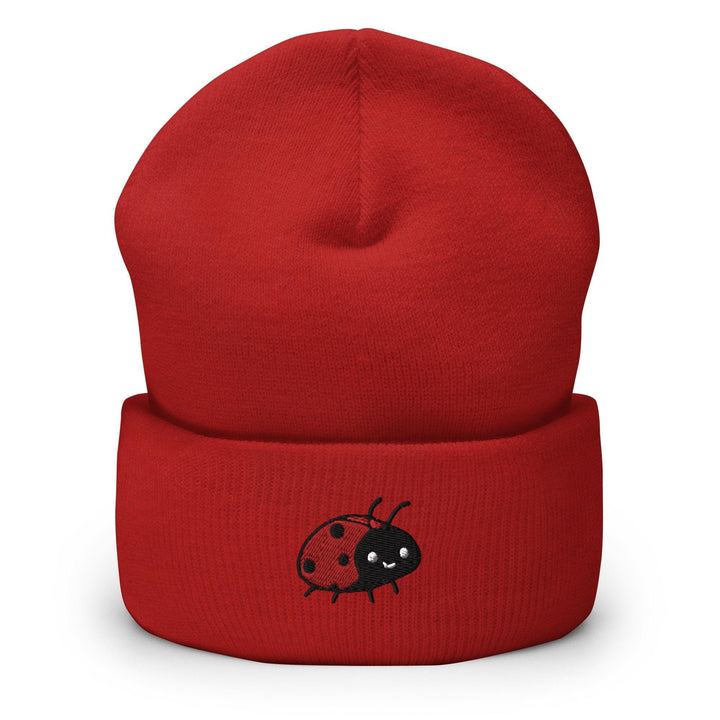 a red beanie with a ladybug drawn on it