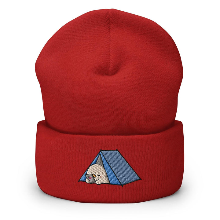 a red hat with a blue tent on it