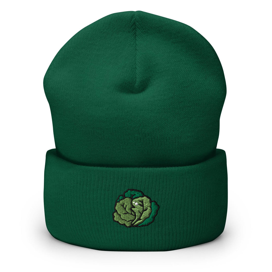 a green beanie with a picture of a broccoli on it