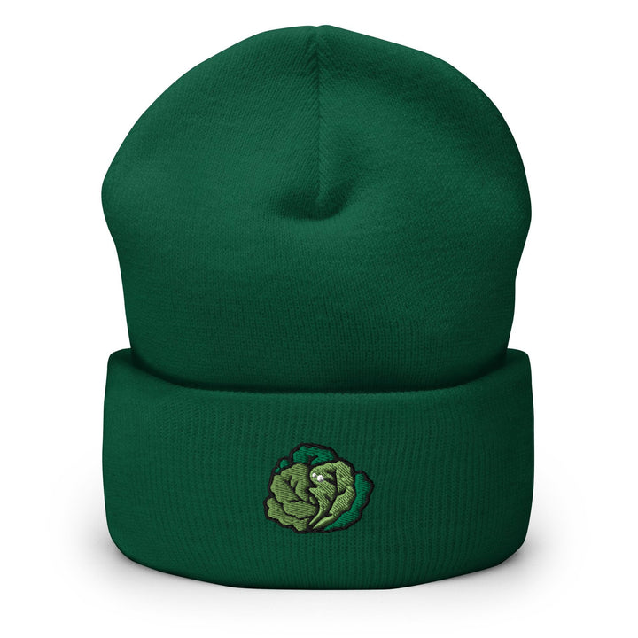 a green beanie with a picture of a broccoli on it