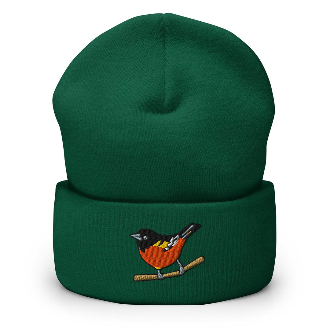 a green beanie with a bird on it