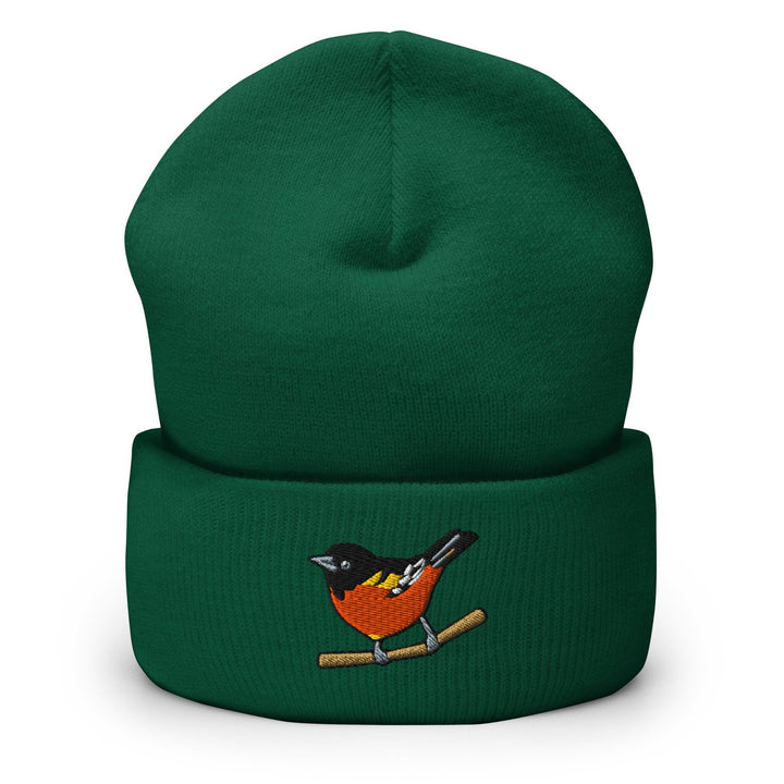 a green beanie with a bird on it