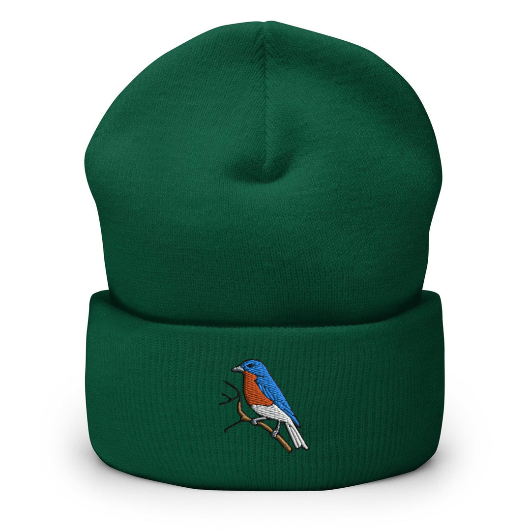 a green beanie with a bird on it