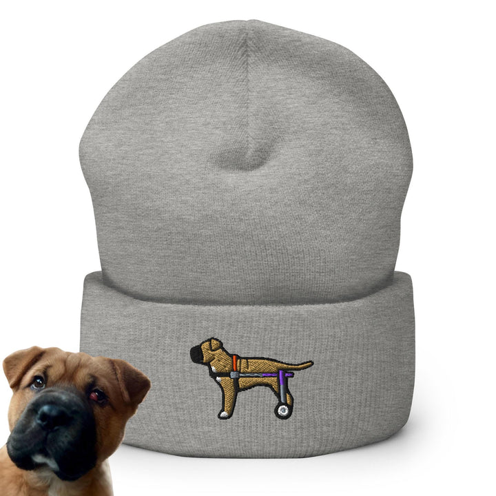 a dog wearing a hat next to a picture of a dog