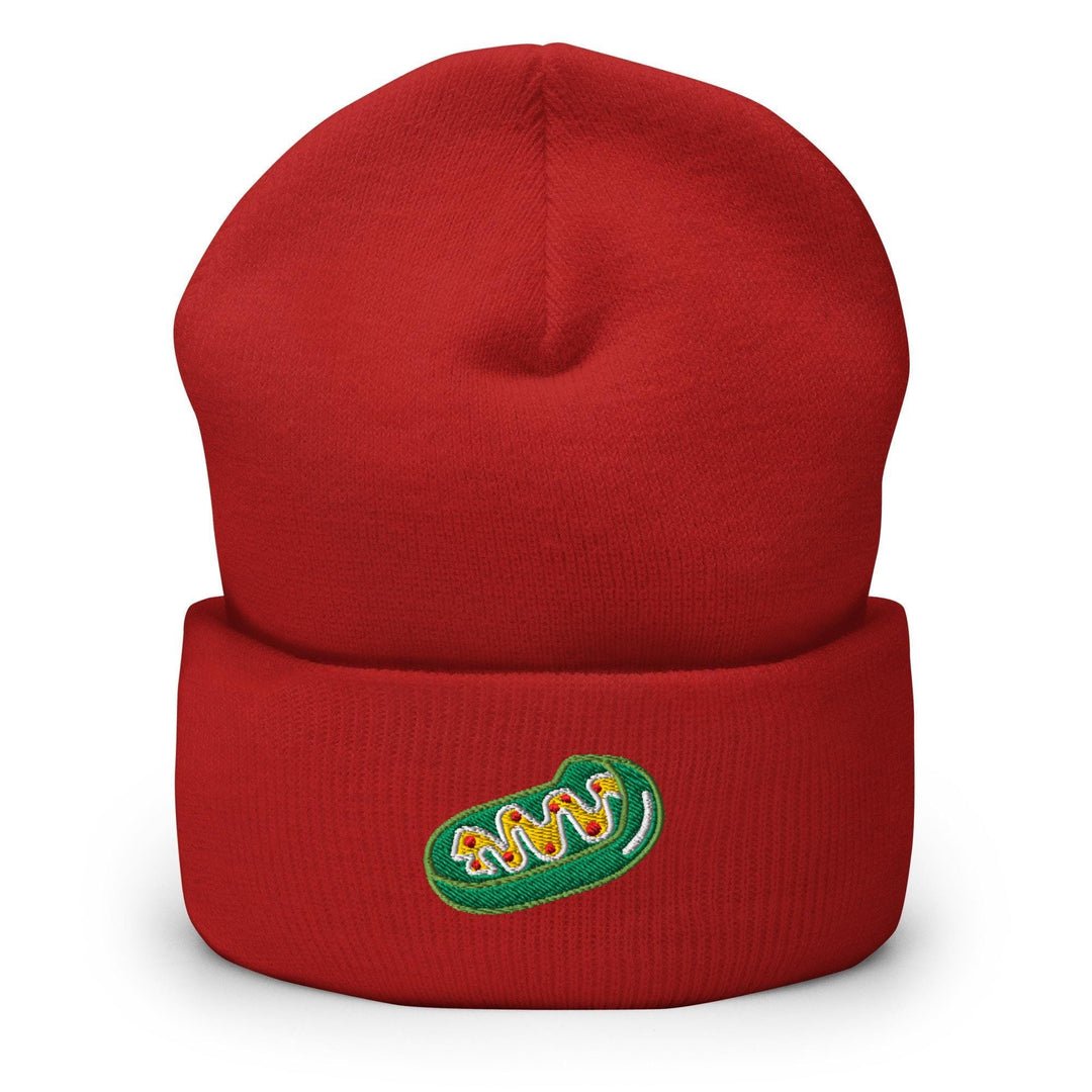 a red beanie with a green logo on it