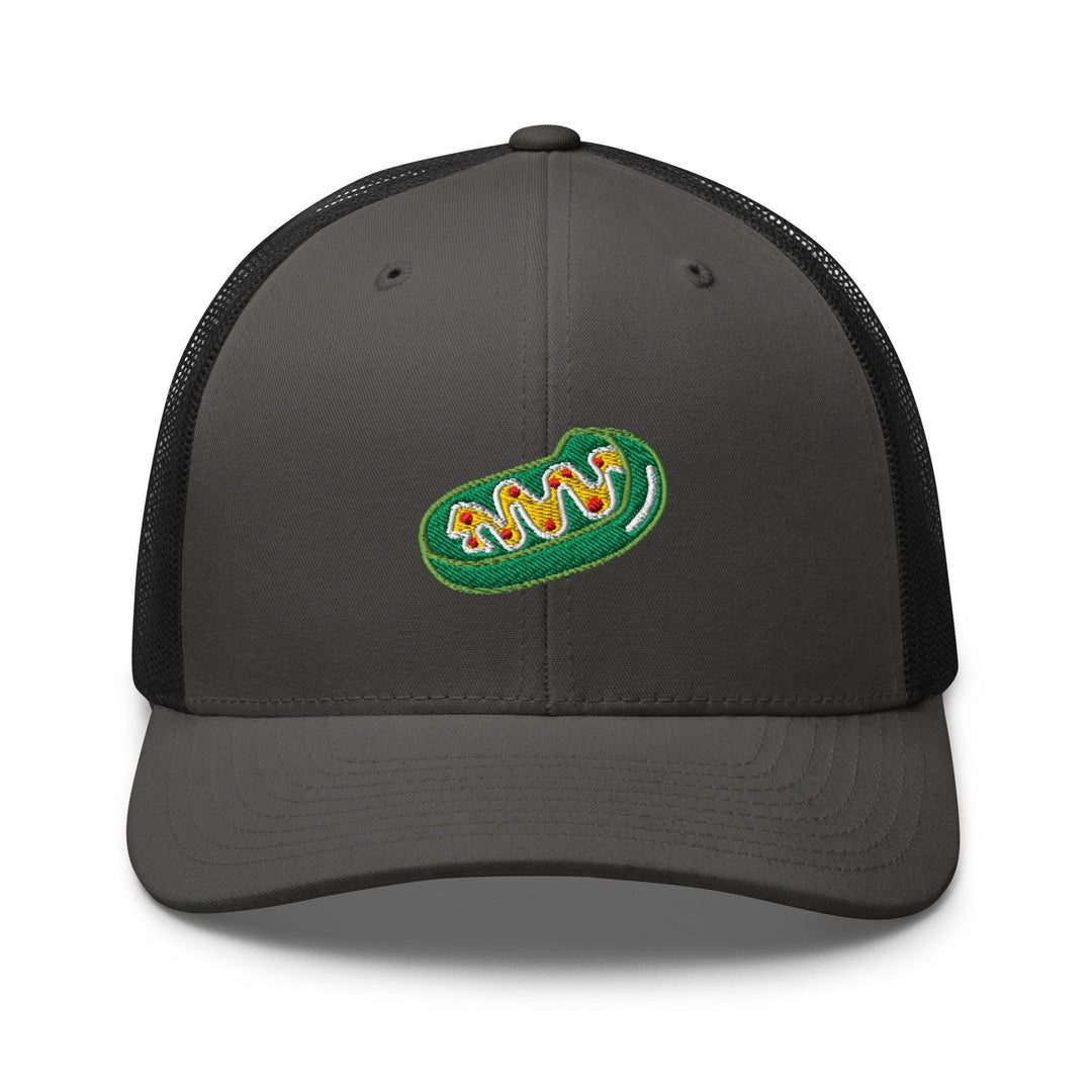 a gray and black trucker hat with a green logo
