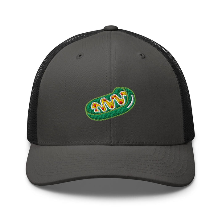 a gray and black trucker hat with a green logo