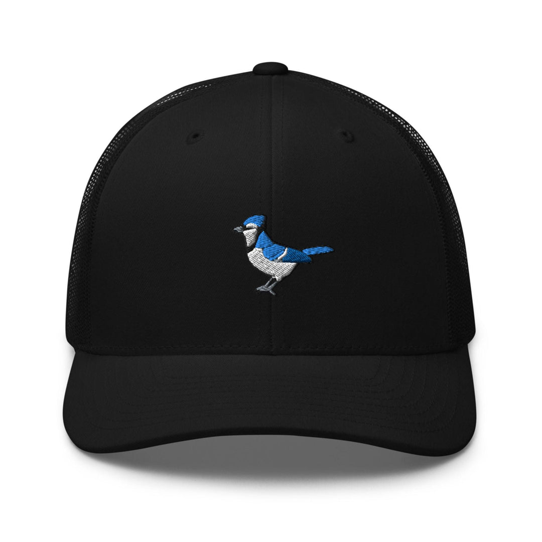 a black hat with a blue and white bird on it