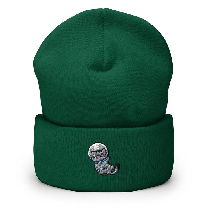 a green beanie with a cartoon cat on it