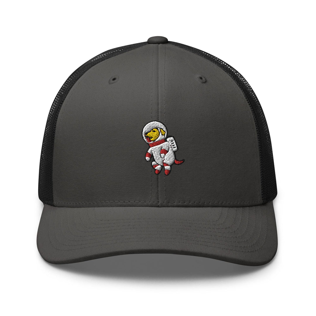 a gray and black hat with a cartoon character on it