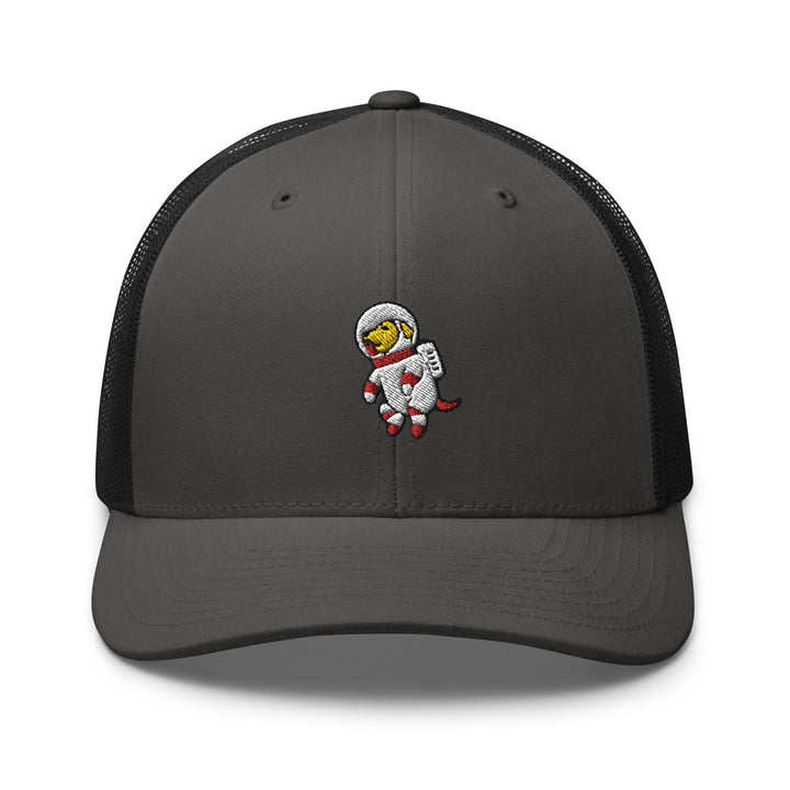 a gray and black hat with a cartoon character on it