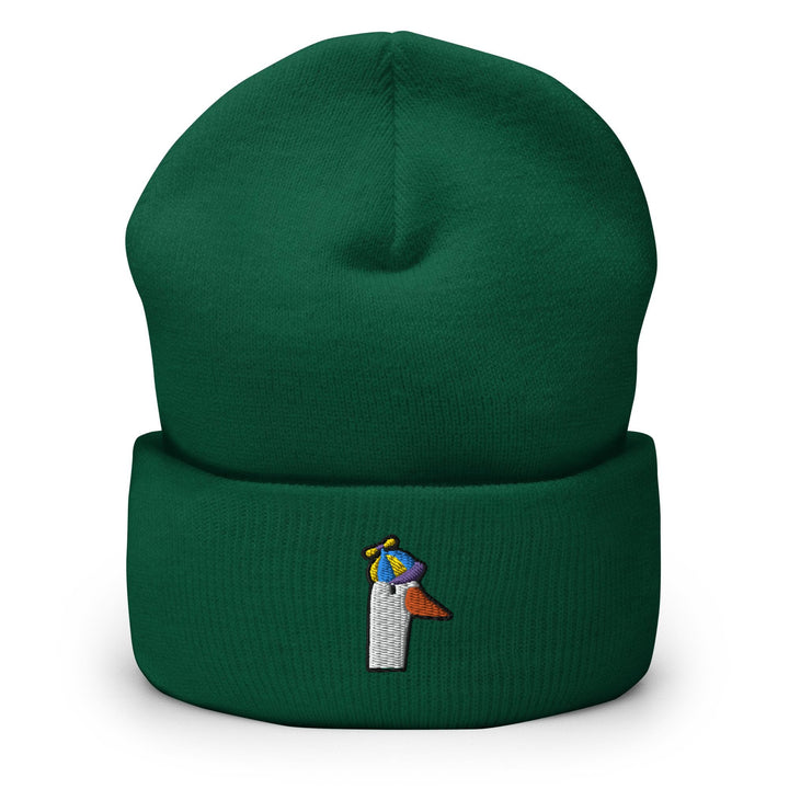 a green beanie with a colorful bird on it