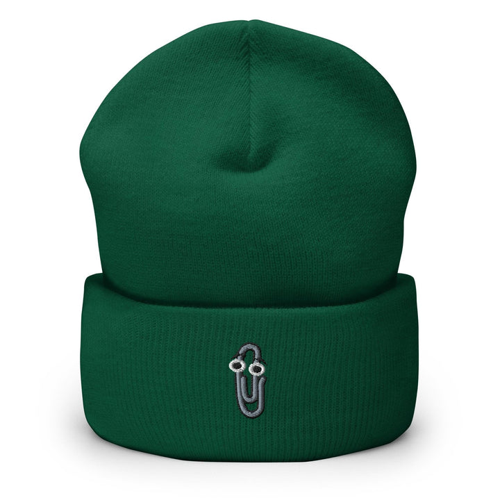 a green beanie hat with a silver logo