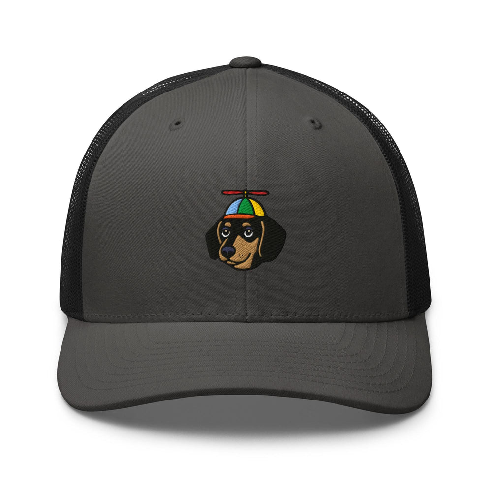 a gray and black hat with a dachshund wearing a rainbow hat
