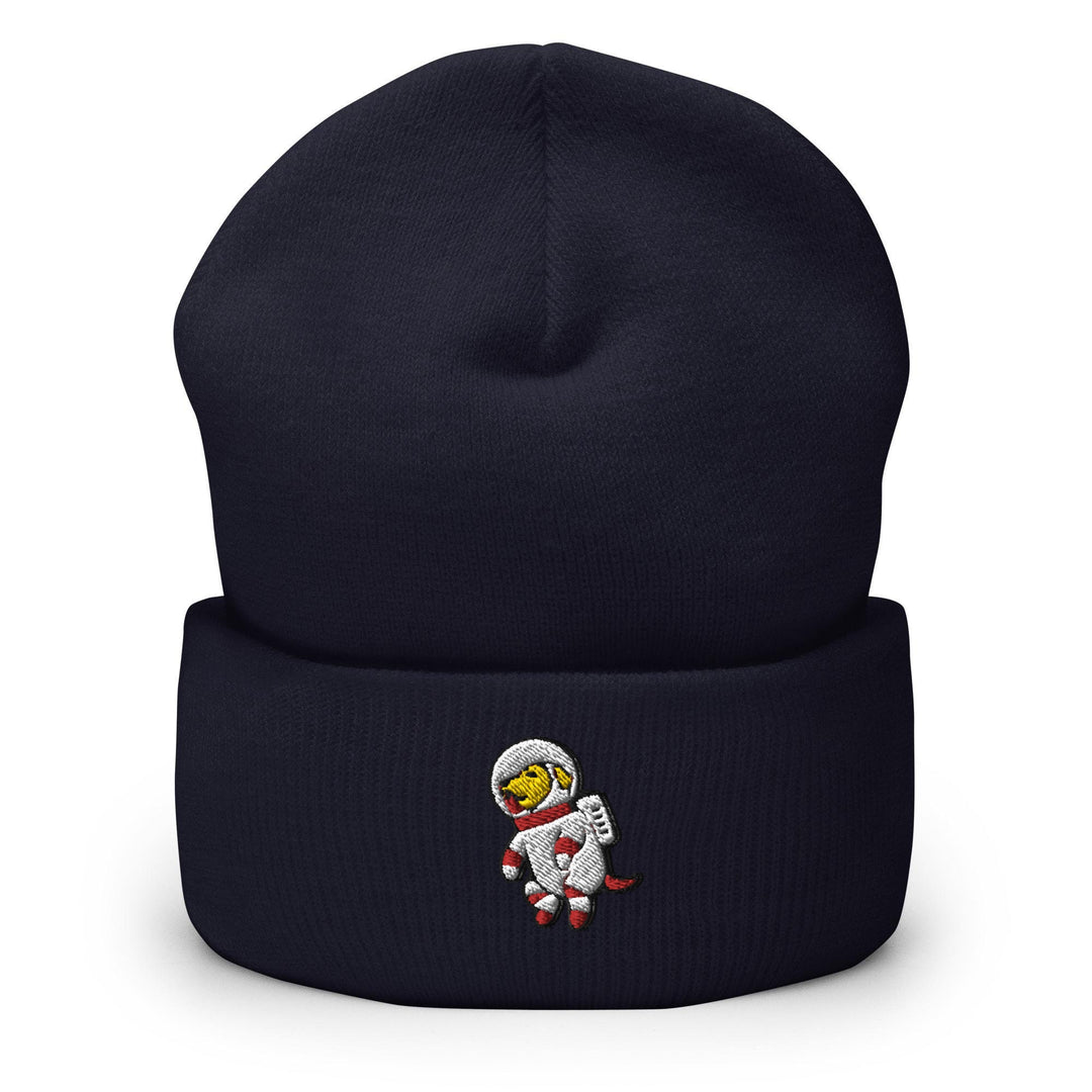 a beanie with a cartoon character on it