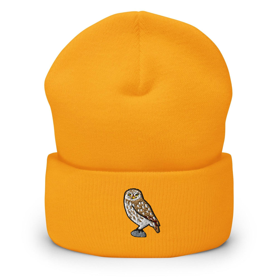 Little Owl of Athena Beanie