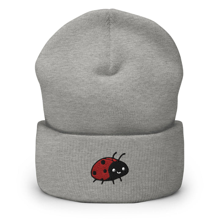 a grey beanie with a red ladybug on it