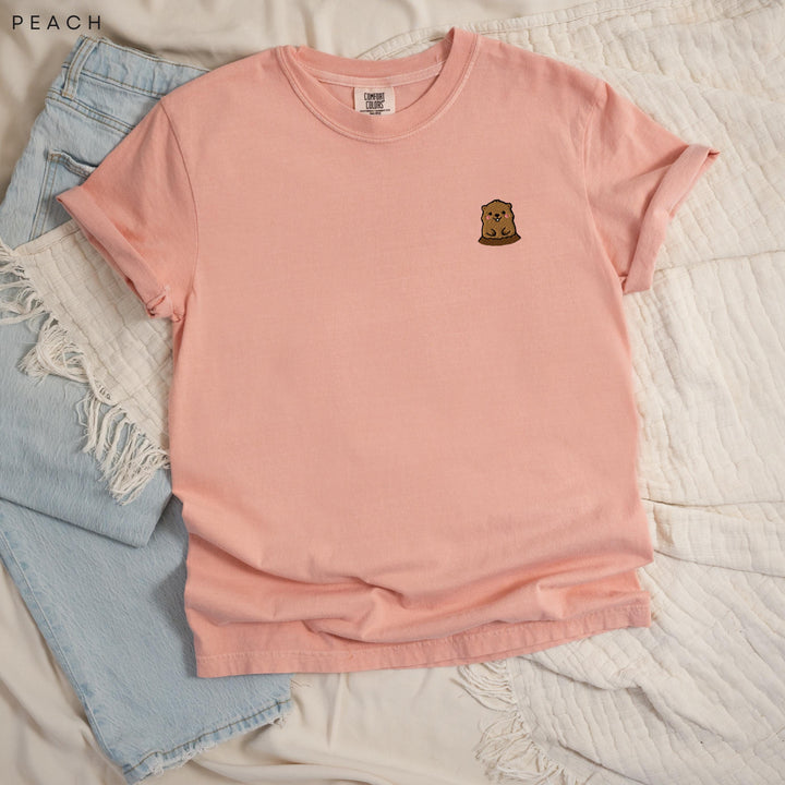 Groundhog Embroidered Shirt, Cute Woodchuck Comfort Colors Tee, Groundhog Day Gift, Weather Forecaster Tee, Animal Lover Gift